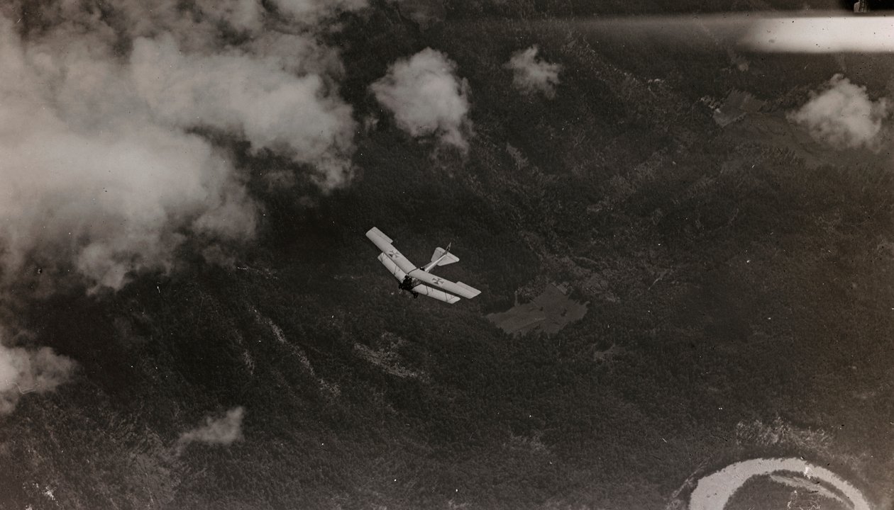 ألبوم "بلدي الحرب العالمية - ذكريات الجبهة الجنوبية الغربية (كارينثيا ، إيطاليا ، جنوب تيرول) (حربتي العالمية - ذكريات الجبهة الجنوبية الغربية في كارينثيا ، إيطاليا ، ترينتينو ألتو أديجي) 31/03 / 1915-12 / 11/1918 - جوزيف زوهليس فيينا ": إلى طائر بواسطة جوزيف زوهليس