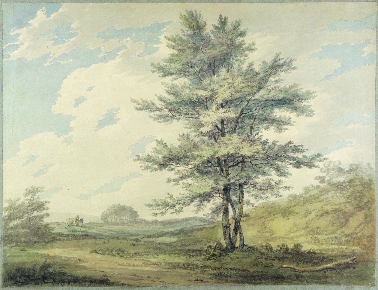 المناظر الطبيعية مع الأشجار والأشكال ، ج 1796 (مرحاض فوق الجرافيت على الورق) بواسطة جوزيف مالورد وليام تورنر