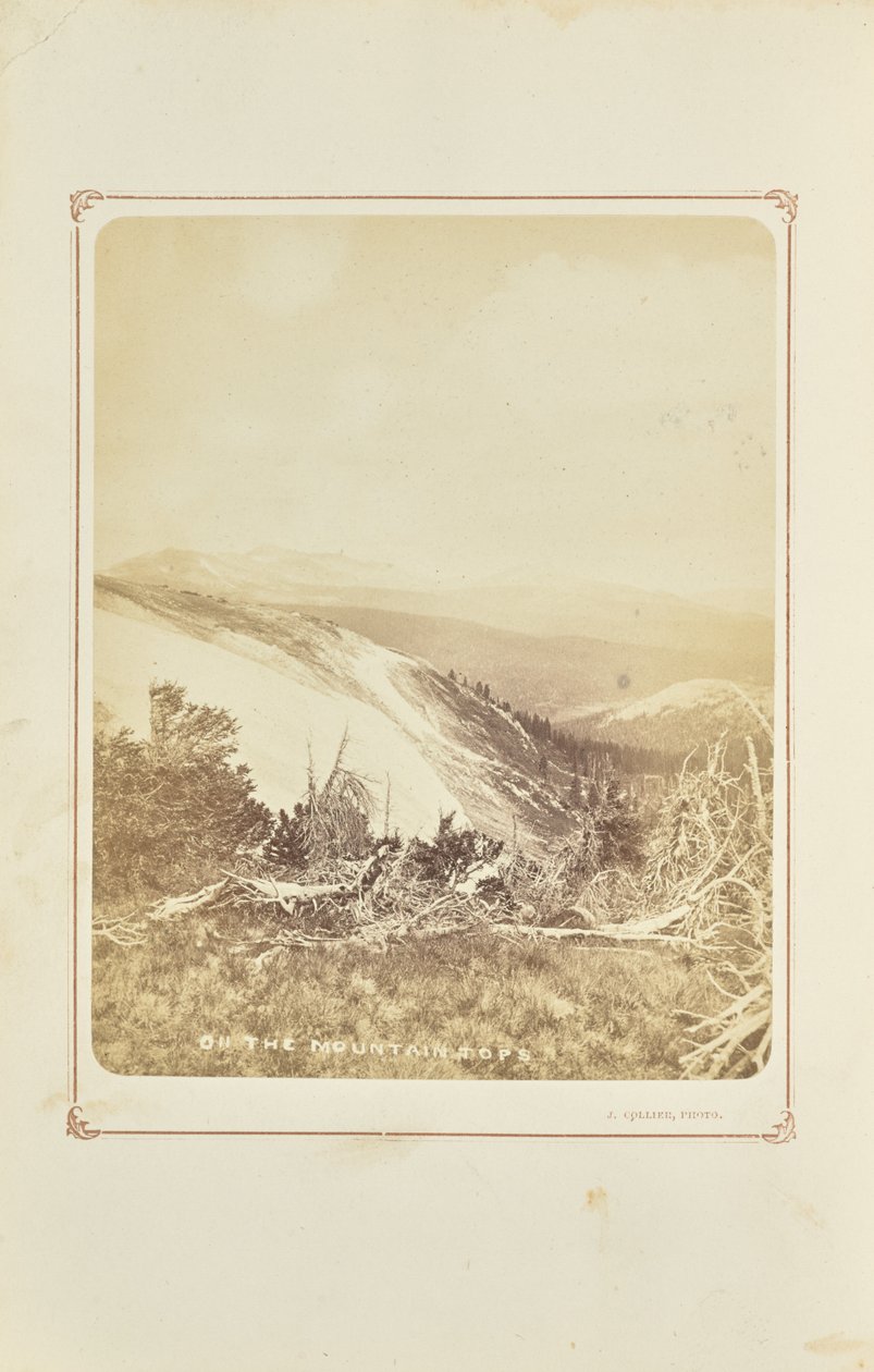  بواسطة جوزيف كولير