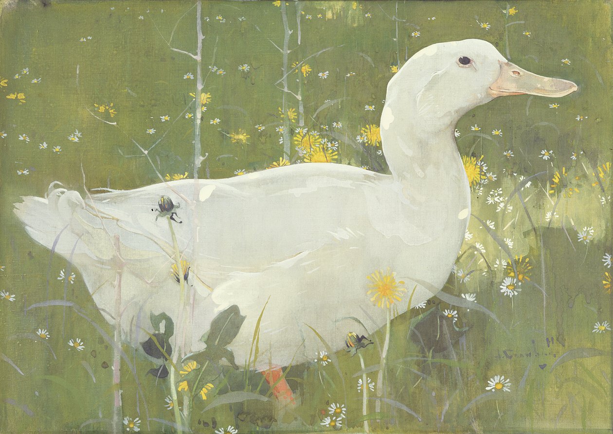 The White Drake (جواش على قماش) بواسطة جوزيف كوراهول