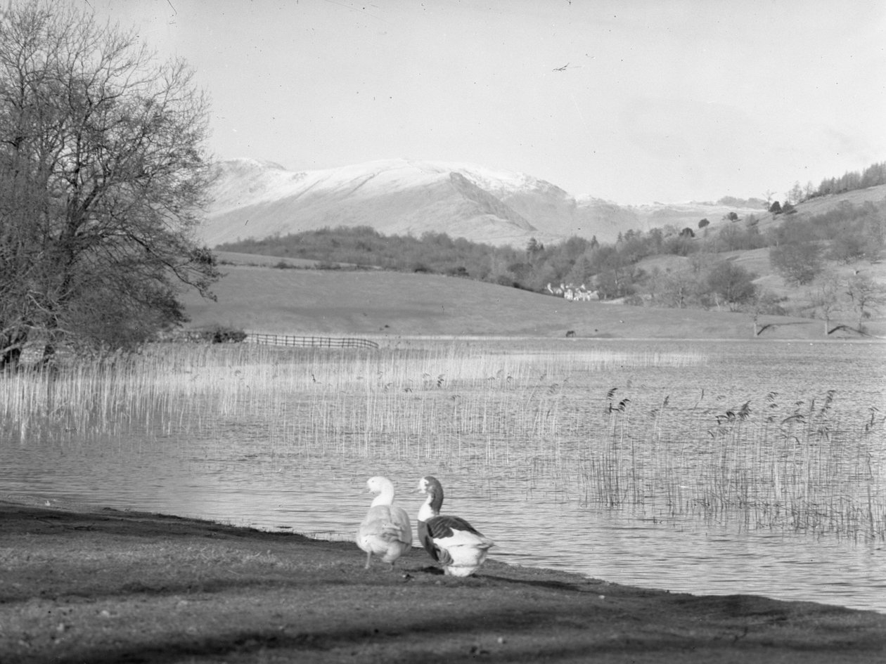  بواسطة جوزيف هاردمان