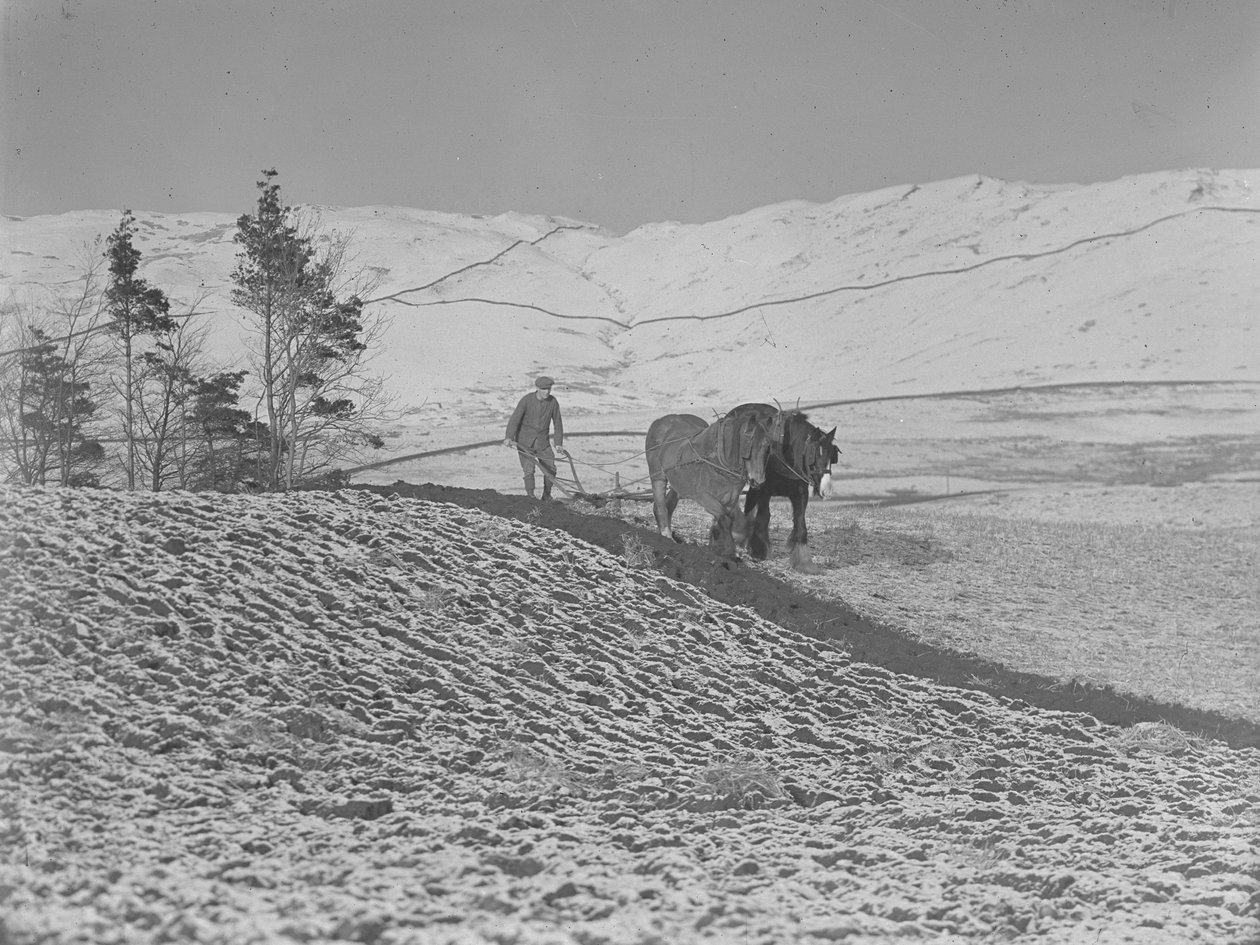  بواسطة جوزيف هاردمان