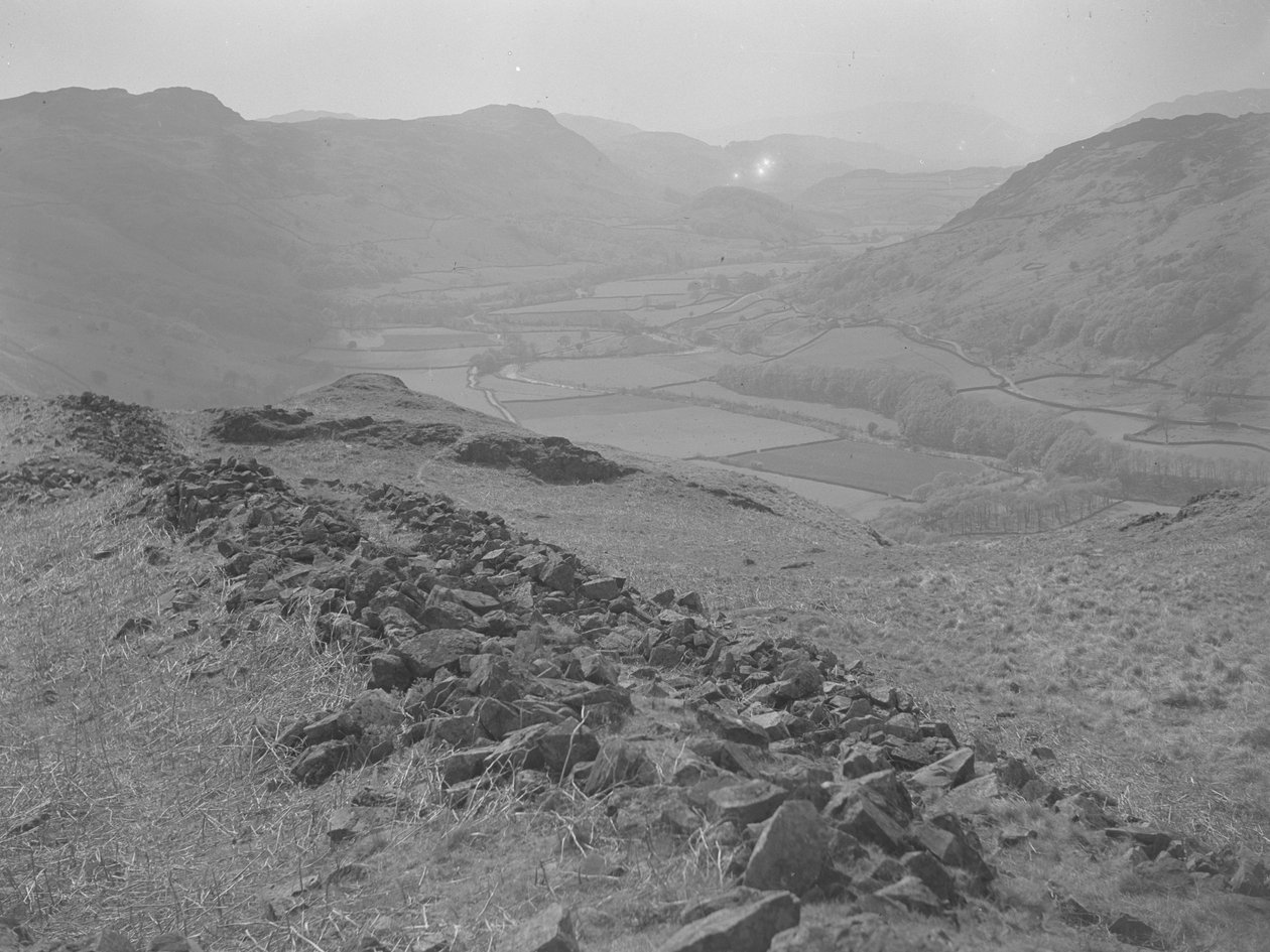  بواسطة جوزيف هاردمان