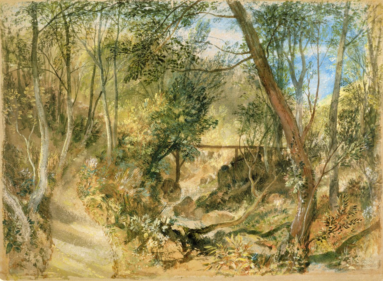 PD.50-1958 The Woodwalk، Farnley Hall، c.1818 (wc und gouache) بواسطة جوزيف مالورد وليام تورنر