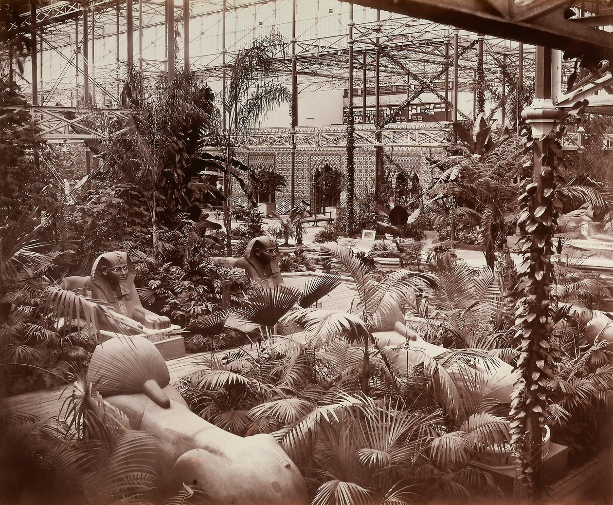 قصر الكريستال في لندن: القسم الاستوائي حوالي 1870 (صورة بالأبيض والأسود) بواسطة جوزيف باكستون