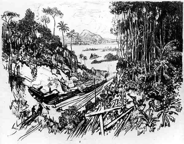 The Jungle: The Old Railway ، اللوحة الثامنة من قناة بنما لجوزيف بينيل ، 1912 (فحم على ورق) بواسطة جوزيف بينيل