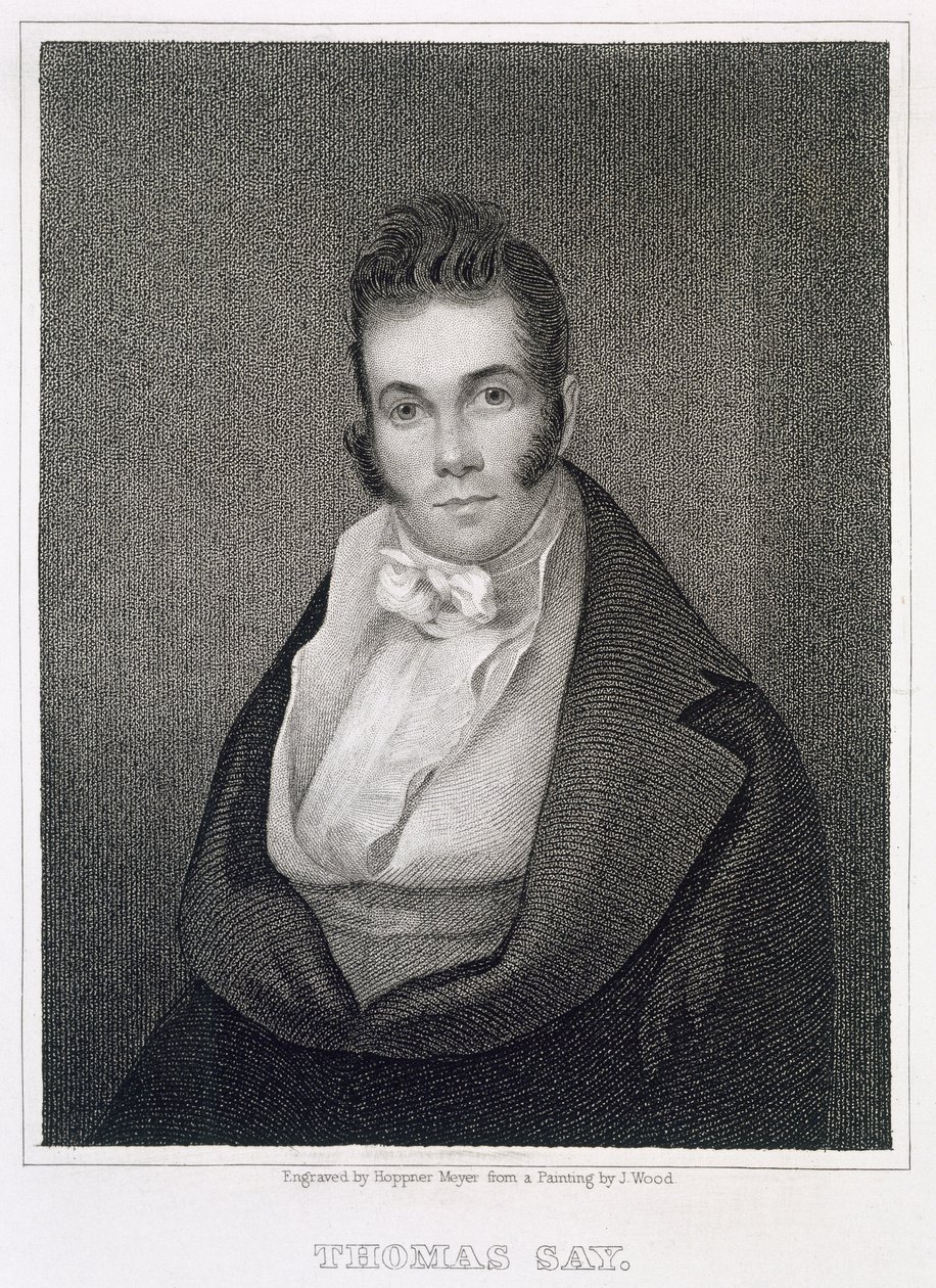 توماس ساي (1787-1834) ، نقش بواسطة هنري هوبنر ماير (1787-1847) بواسطة جوزيف وود