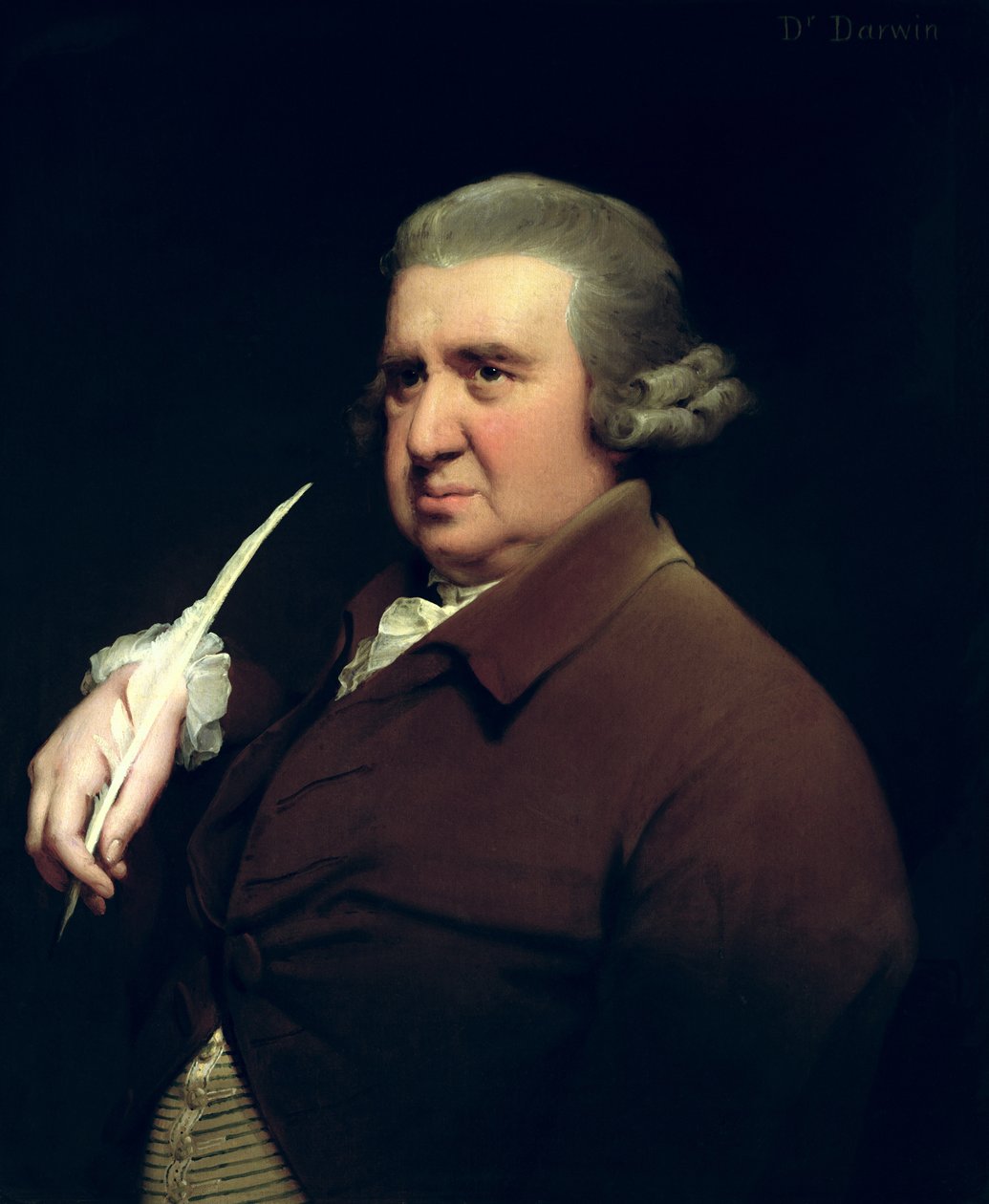 صورة للدكتور إيراسموس داروين (1731-1802) العالم والمخترع والشاعر جد تشارلز داروين بواسطة جوزيف رايت من ديربي