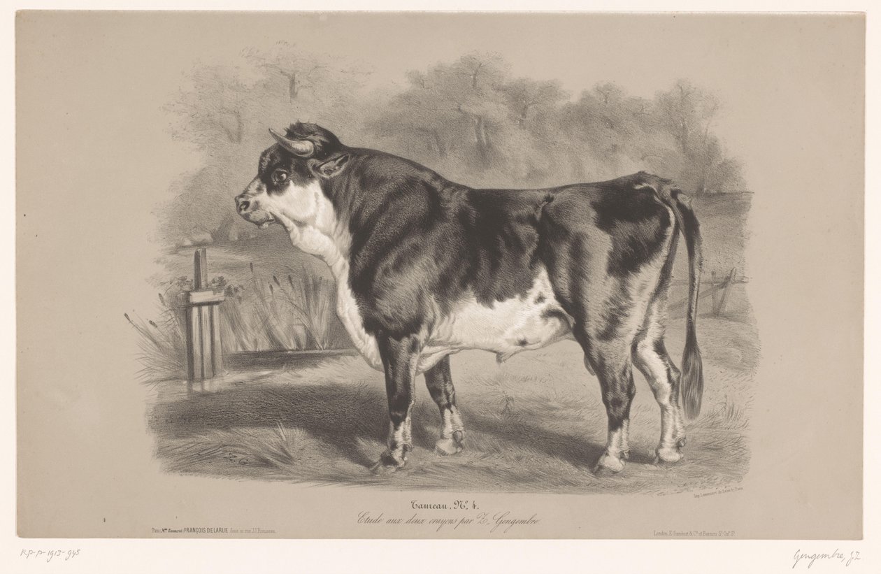 ثور في مرعى Taureau (العنوان على الكائن) دراسات على الحيوانات في نوعين من الطباشير (عنوان السلسلة) Étude aux deux crayons par Z. Gengembre (عنوان السلسلة على الكائن) بواسطة جوزيف زيفريس جينجمبري