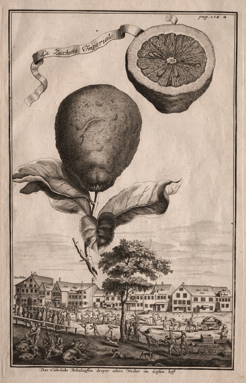 Nurnbergische Hesperides: The Imperial Luchetta بواسطة جوزيف دي مونتاليجر