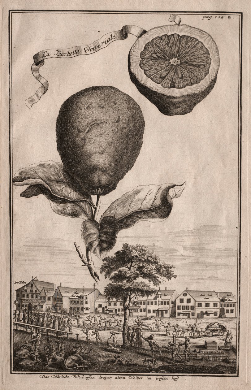 Nurnbergische Hesperides: La Luchetta Imoperiale ، 1714. بواسطة جوزيف دي مونتاليجر
