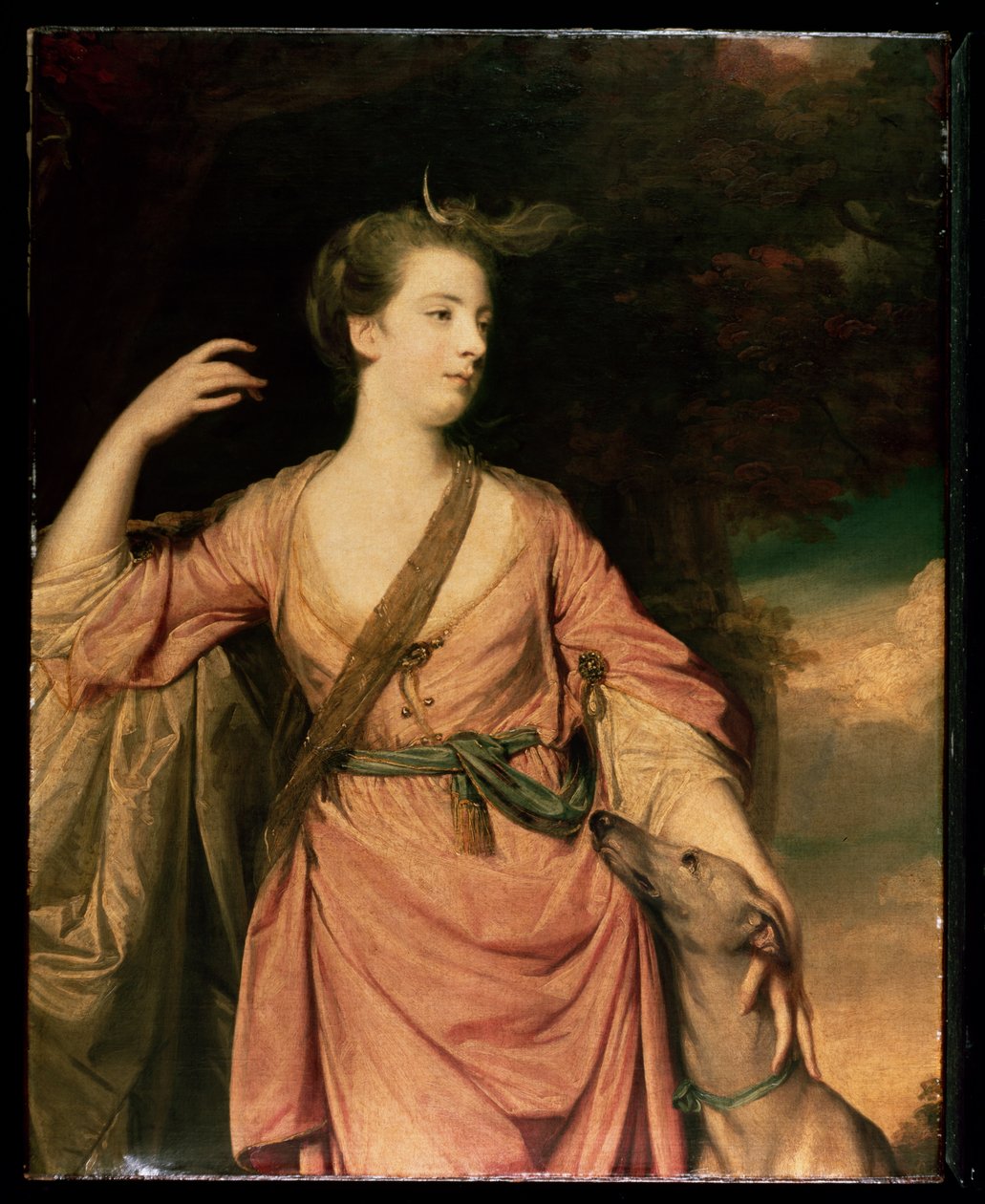 سيدة داوسون c.1763 بواسطة جوشوا رينولدز