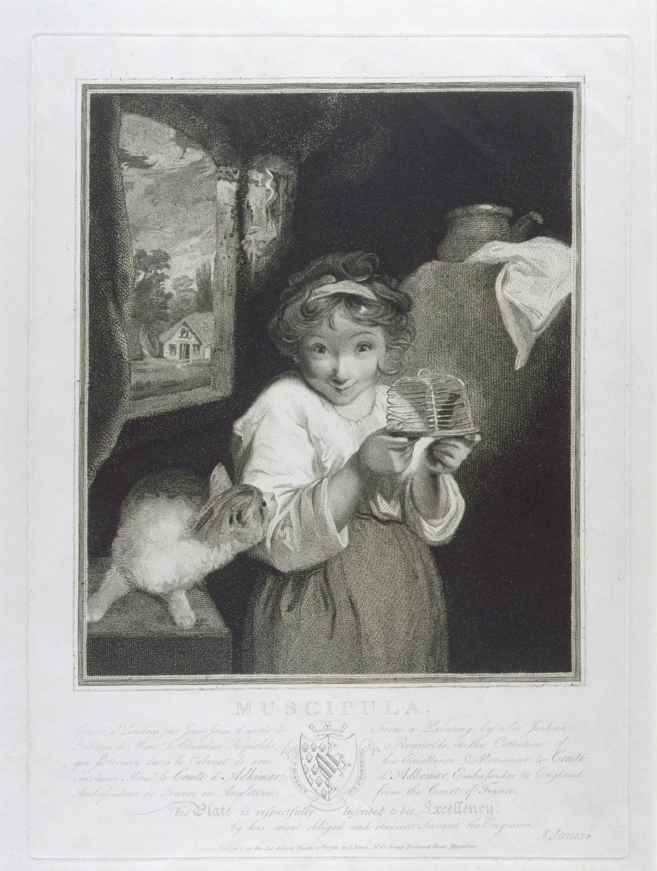Muscipula ، محفور بواسطة John Jones (c.1745-97) 1786 بواسطة جوشوا رينولدز