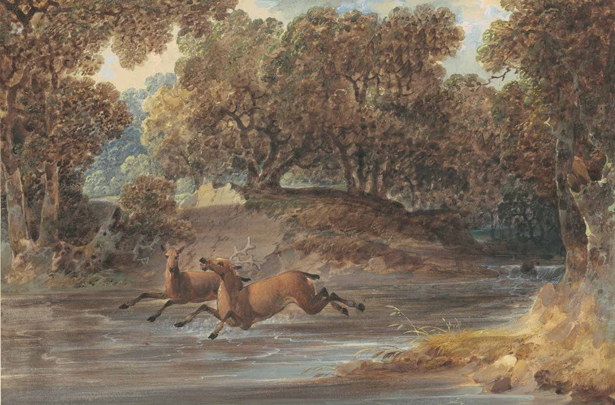 منظر طبيعي مع دير ، نورث كارولينا ، c.1820 (مرحاض وجواش فوق الجرافيت على الورق) بواسطة جوشوا H. شو
