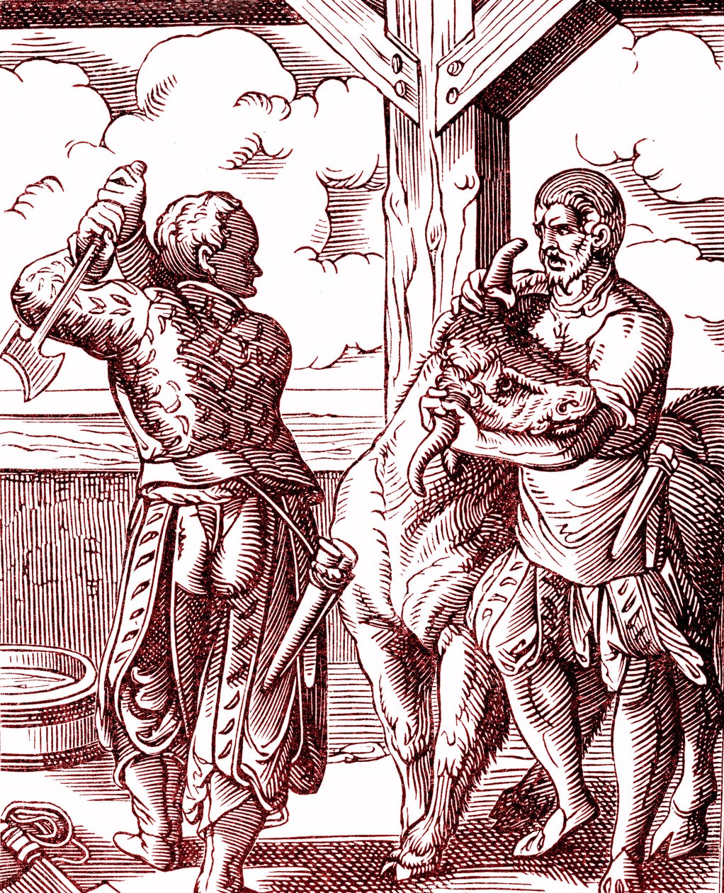 جزار - الطعام والطبخ في العصور الوسطى. نقش لجوست أمان (1539-1591). نقش 1878 بواسطة جوست (بعد) عمان