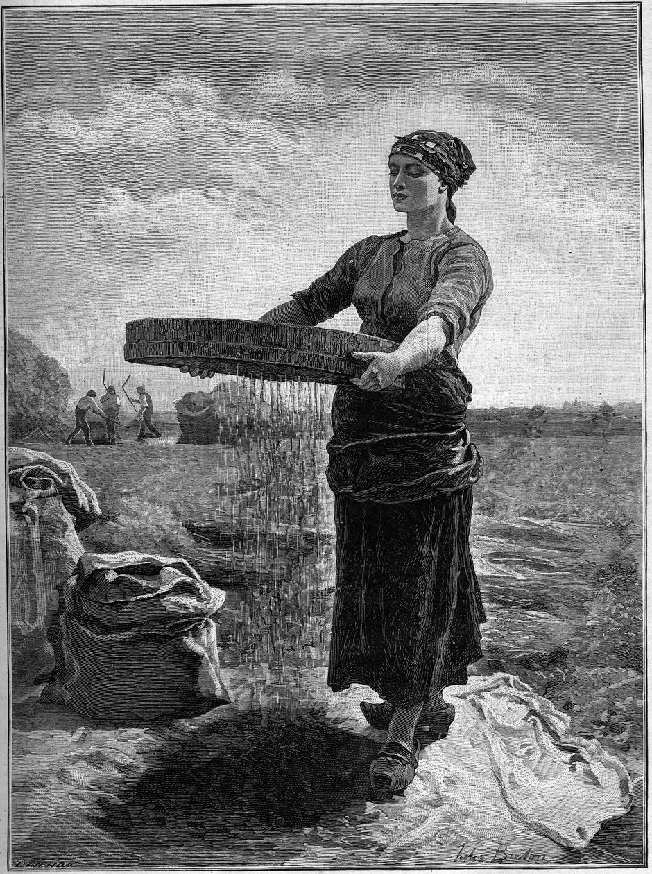 مصحح بذور اللفت: من لوحة جول بريتون. في "العائلة" عام 1888. بواسطة جول بريتون