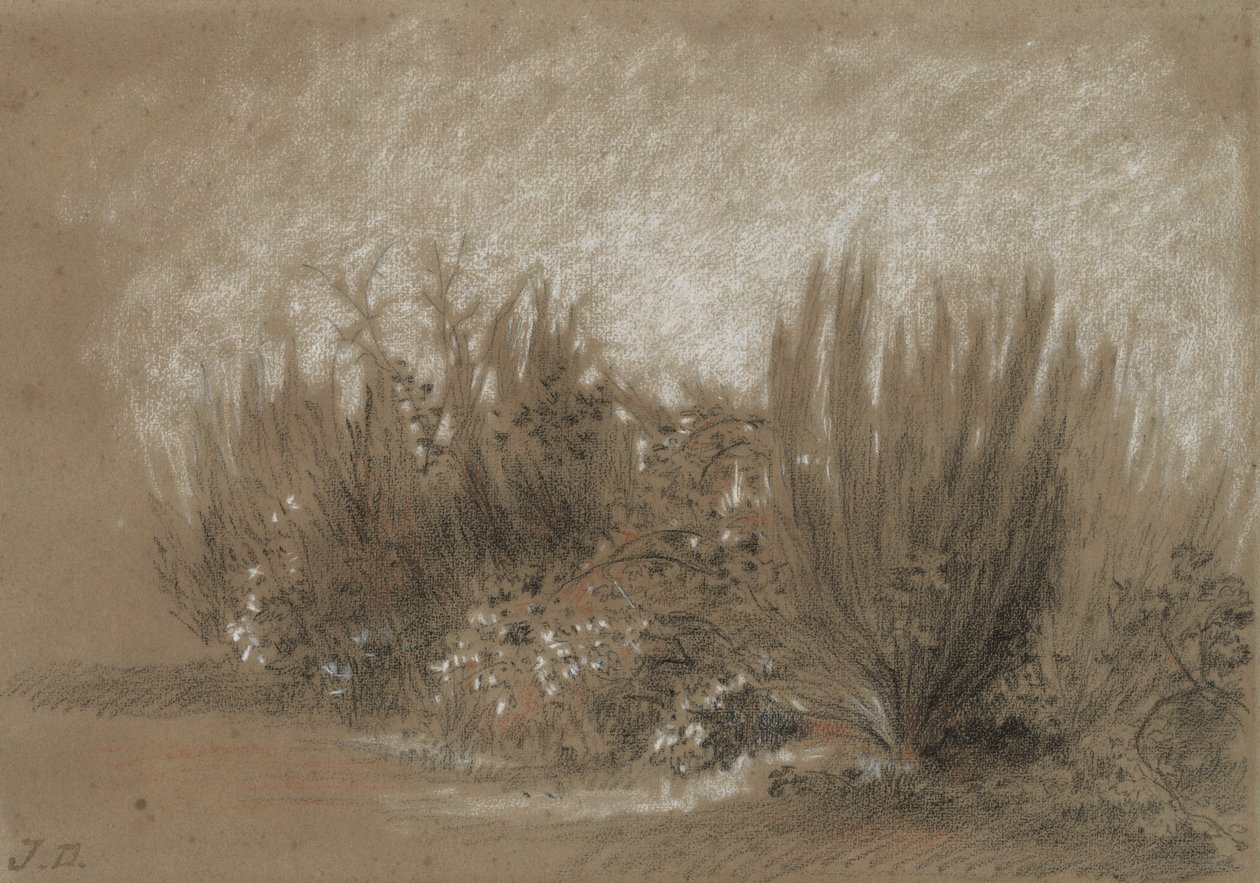 Genets et Ronces (مكنسة وبرامبل) بواسطة جول دوبري