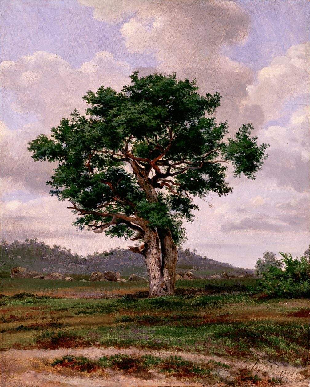 Le Rageur (خفف من الحرارة) بواسطة جول دوبري