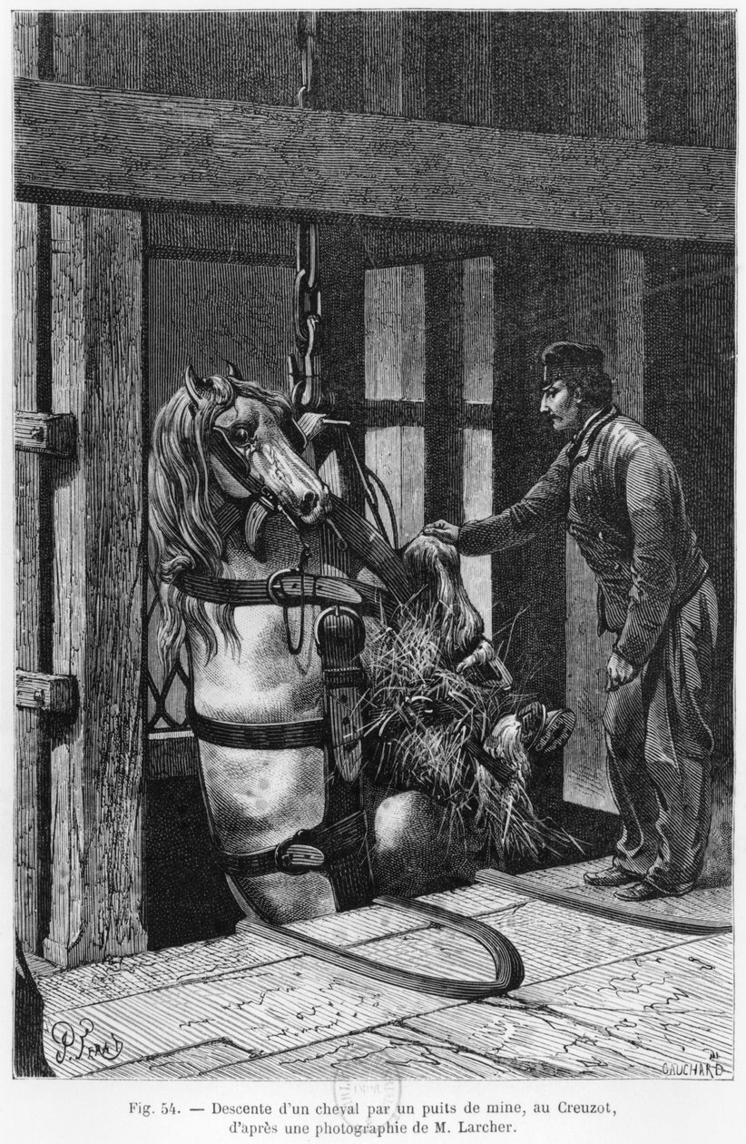 حصان يتم رفعه في حفرة الفحم في Le Creusot ، التوضيح من "La Vie souterraine" بواسطة لويس سيمونين (1830-86) 1867 بواسطة جول فرات