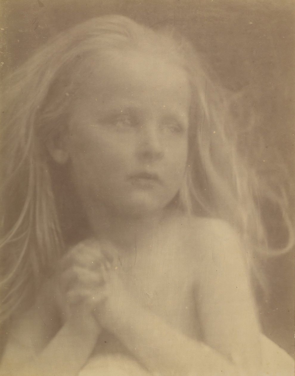 رسم جميل ، 1873. بواسطة جوليا مارغريت كاميرون