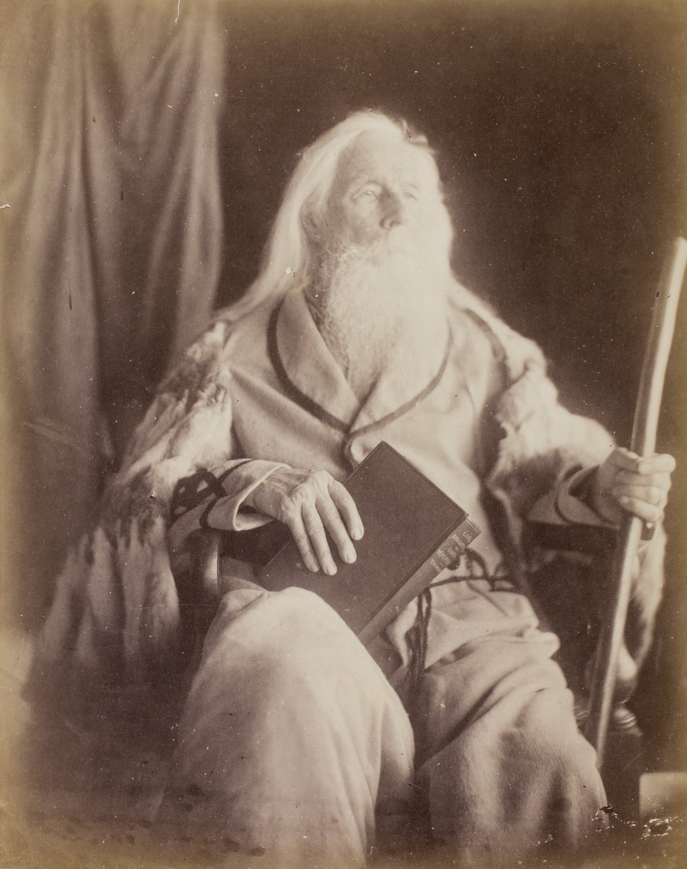 تشارلز هاي كاميرون ، 1864-1865 بواسطة جوليا مارغريت كاميرون