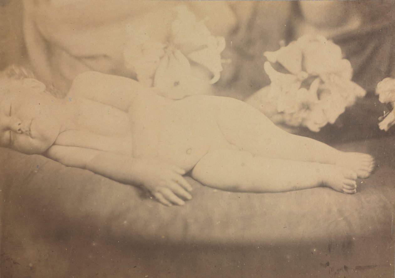 الزنبق والحمل ، ج. 1865. بواسطة جوليا مارغريت كاميرون