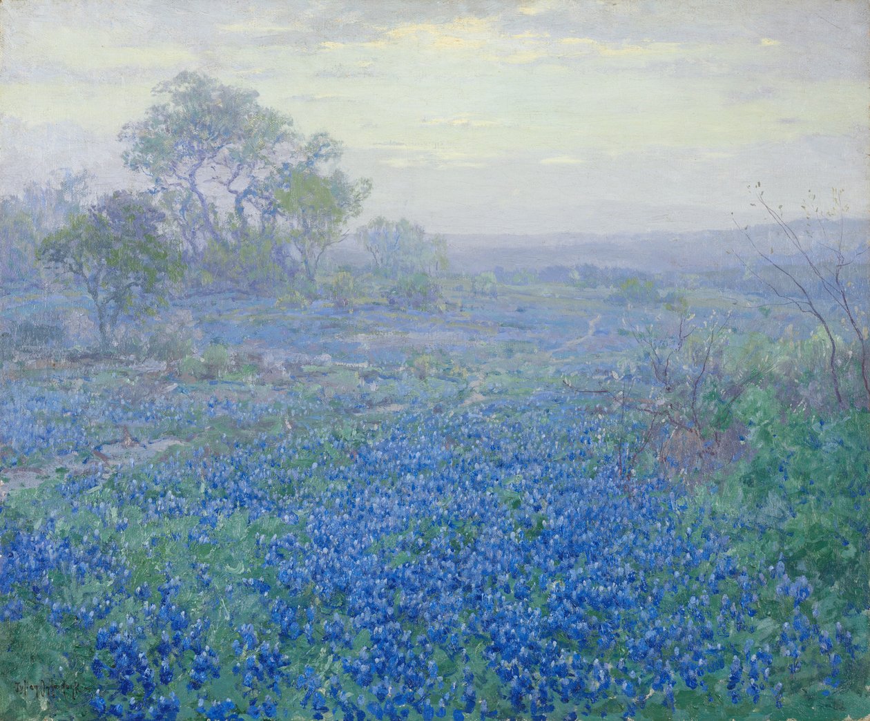 يوم غائم ، Bluebonnets بالقرب من سان أنطونيو ، تكساس بواسطة جوليان اوندرونك
