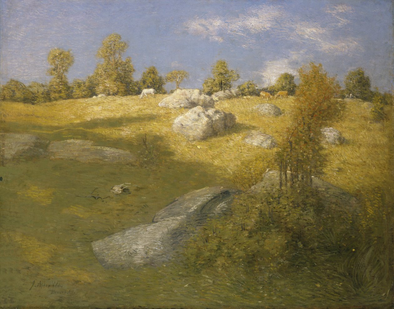المرتفعات المرتفعة ، كاليفورنيا. 1905. بواسطة جوليان الدين وير