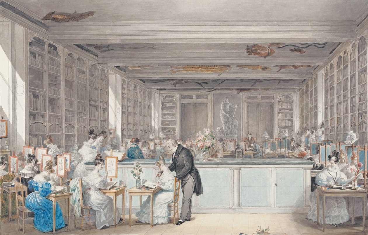 مدرسة بيير جوزيف Redouté للرسم النباتي في Salle Buffon في Jardin des Plantes ، 1830 (مرحاض وجرافيت على ورق) بواسطة جولي ريبولت