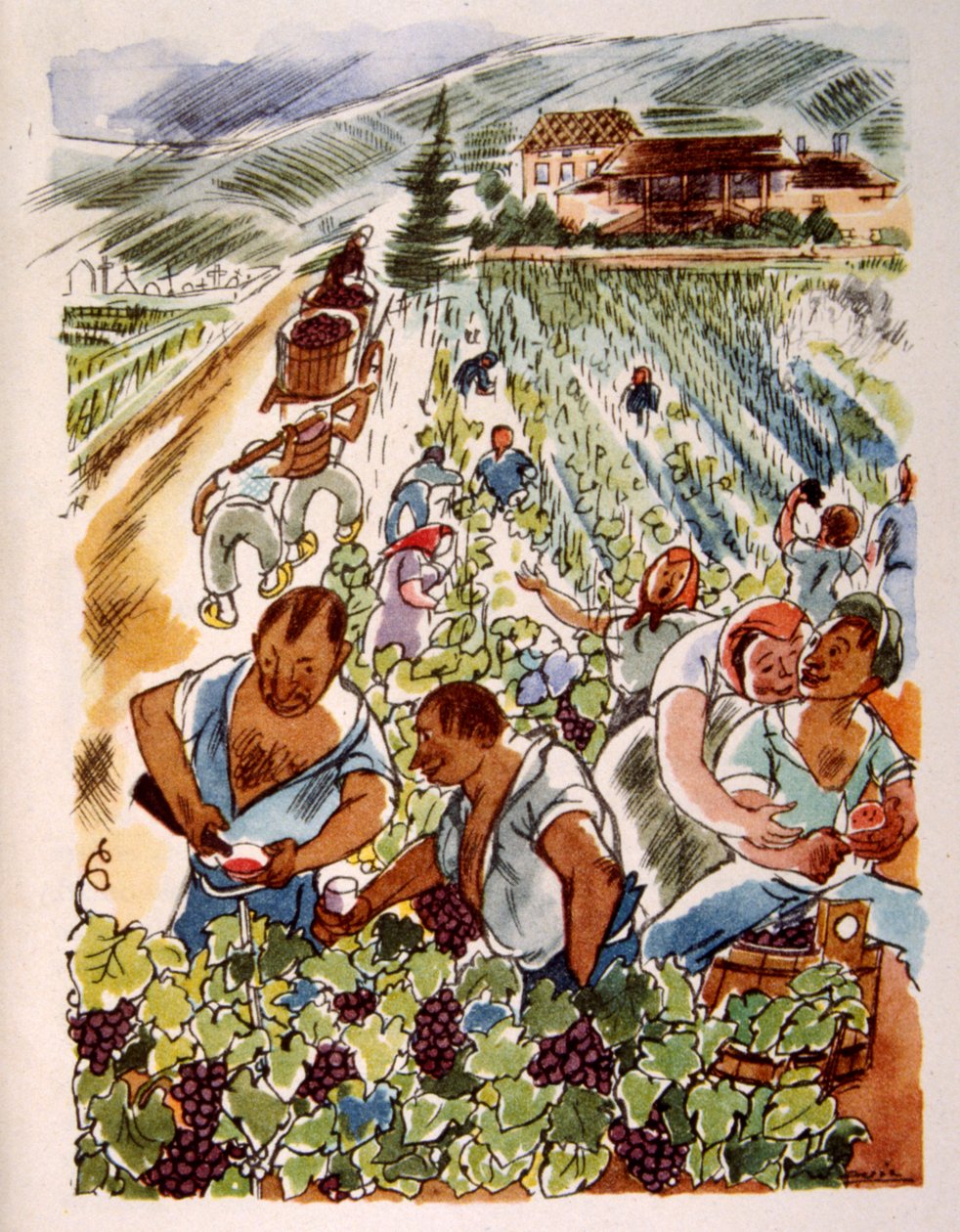 كرم فرنسي. 1944. رسم لجوليان بافيل بواسطة جوليان بافيل