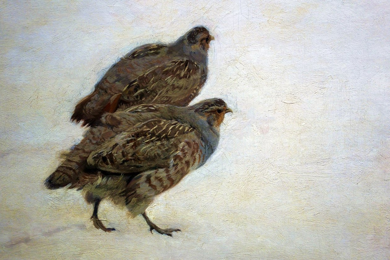  بواسطة Józef Chemoński