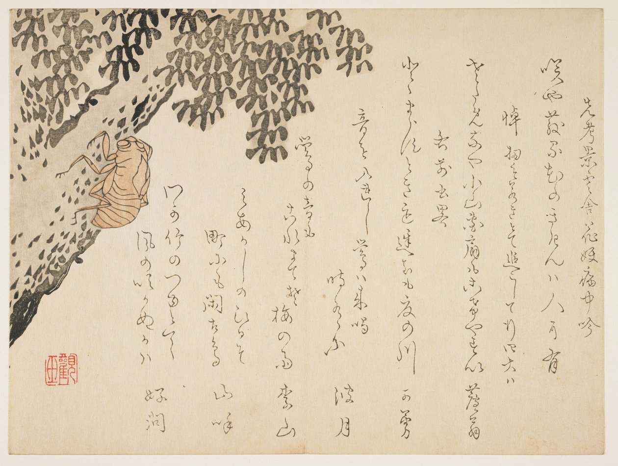 غلاف الزيز ، c.1848-53 (طبعة خشبية ملونة) بواسطة Kangyoku Hgan
