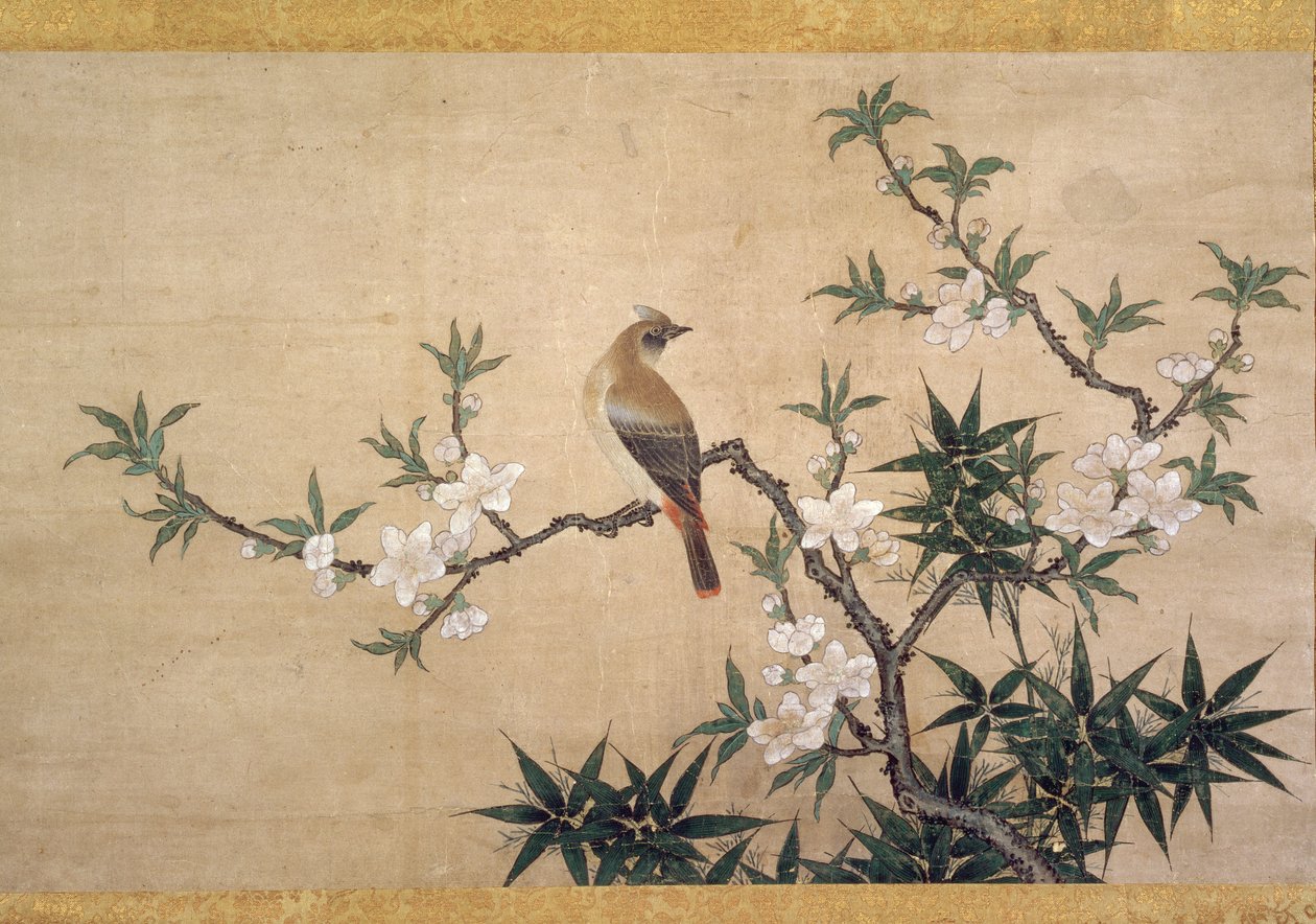 طائر على زهر الخوخ ، c.1550-60 (ألوان مائية على ورق) بواسطة كانو يوكينوبو