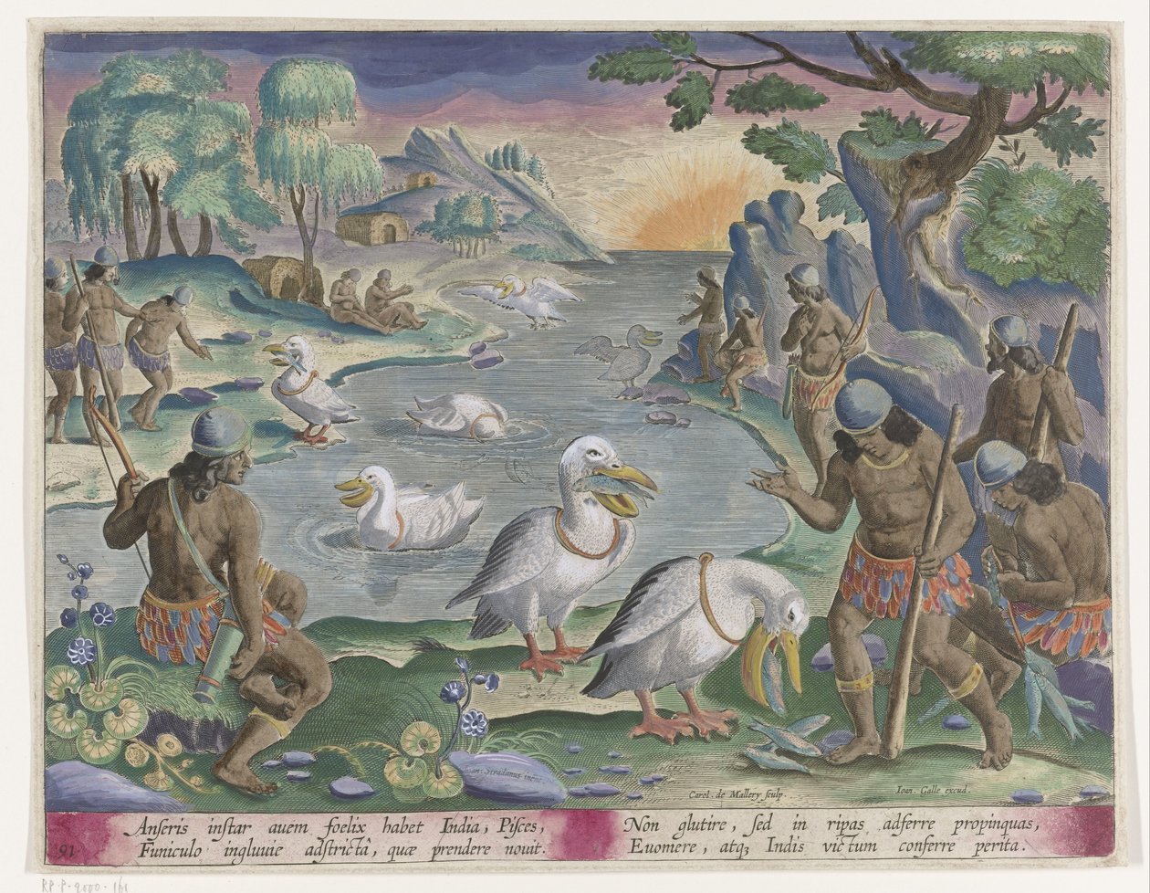 Vis vangen met behulp van pelikanen Jachttaferelen (عنوان السلسلة) صيد الحيوانات البرية والطيور والأسماك pvgnae Bestiariorum (عنوان السلسلة) بواسطة Karel van Mallery