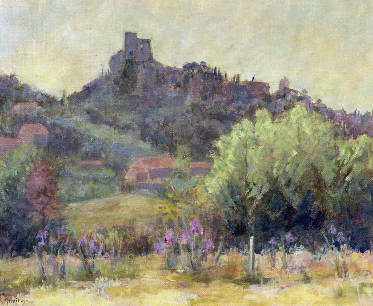 Vaison La Romaine ، Vaucluse بواسطة كارين أرميتاج