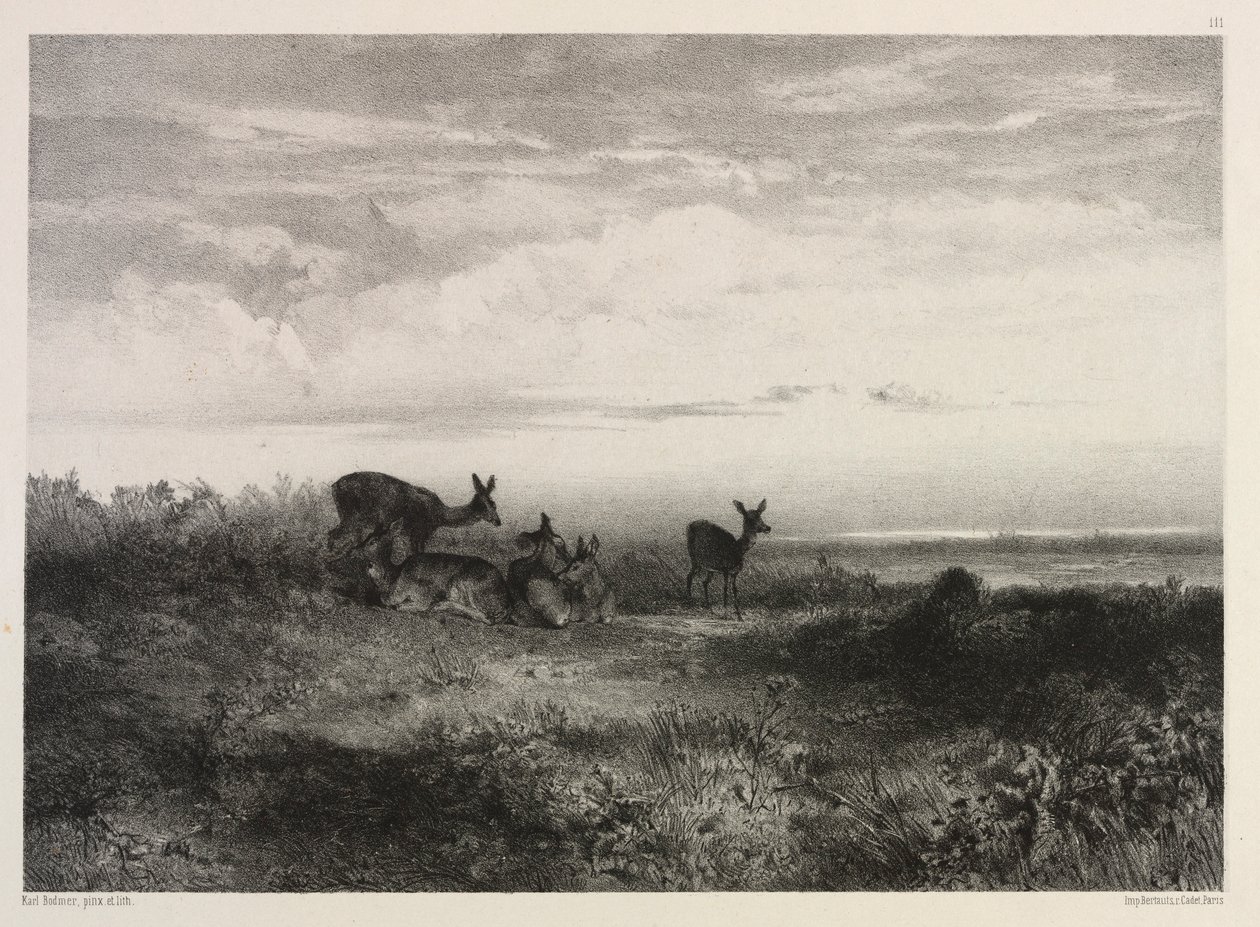 المناظر الطبيعية مع الغزلان ، ج. 1840. بواسطة كارل بودمر