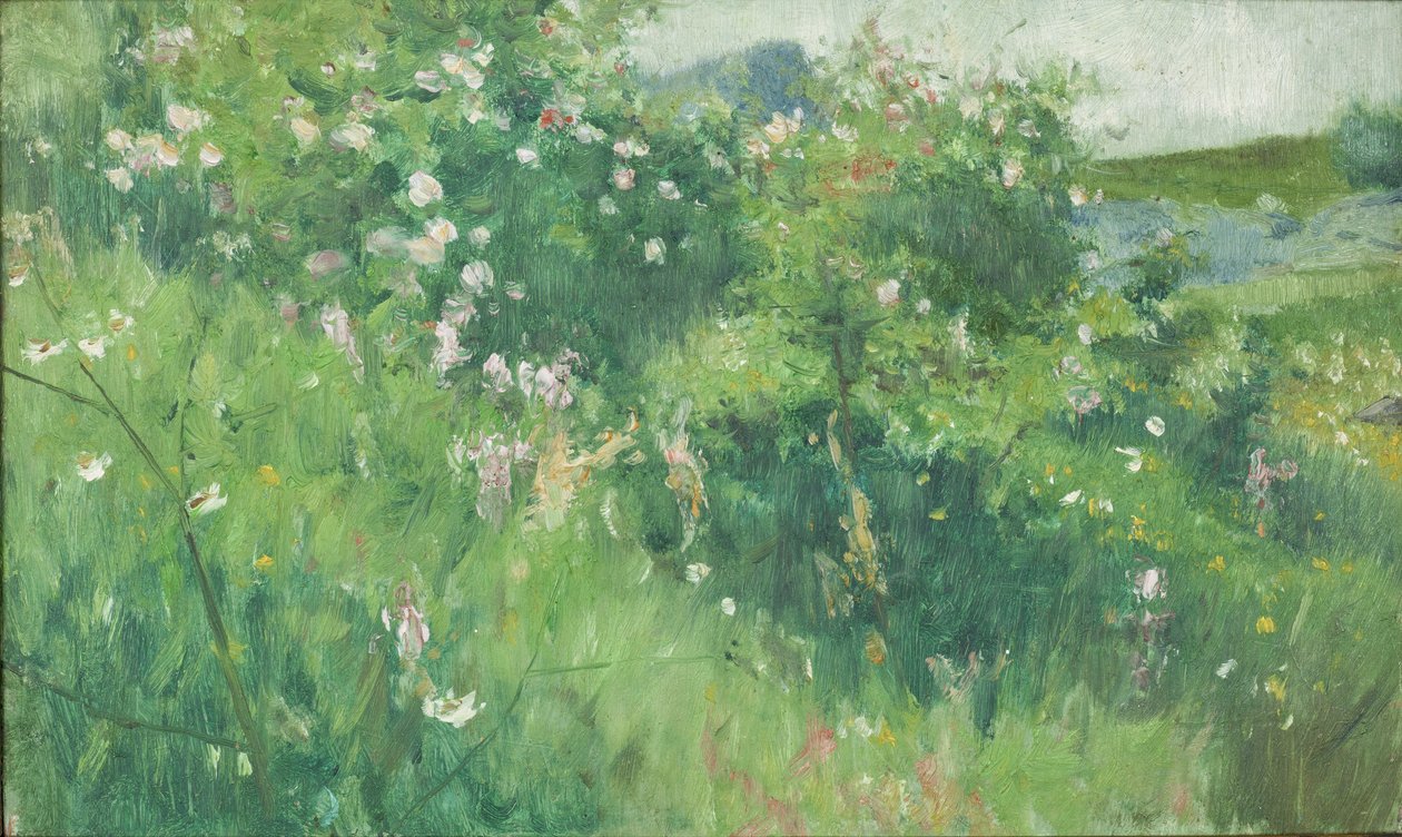 شجيرات Briar-Rose المزهرة على جزيرة Tjörn بواسطة كارل فريدريك نوردستروم