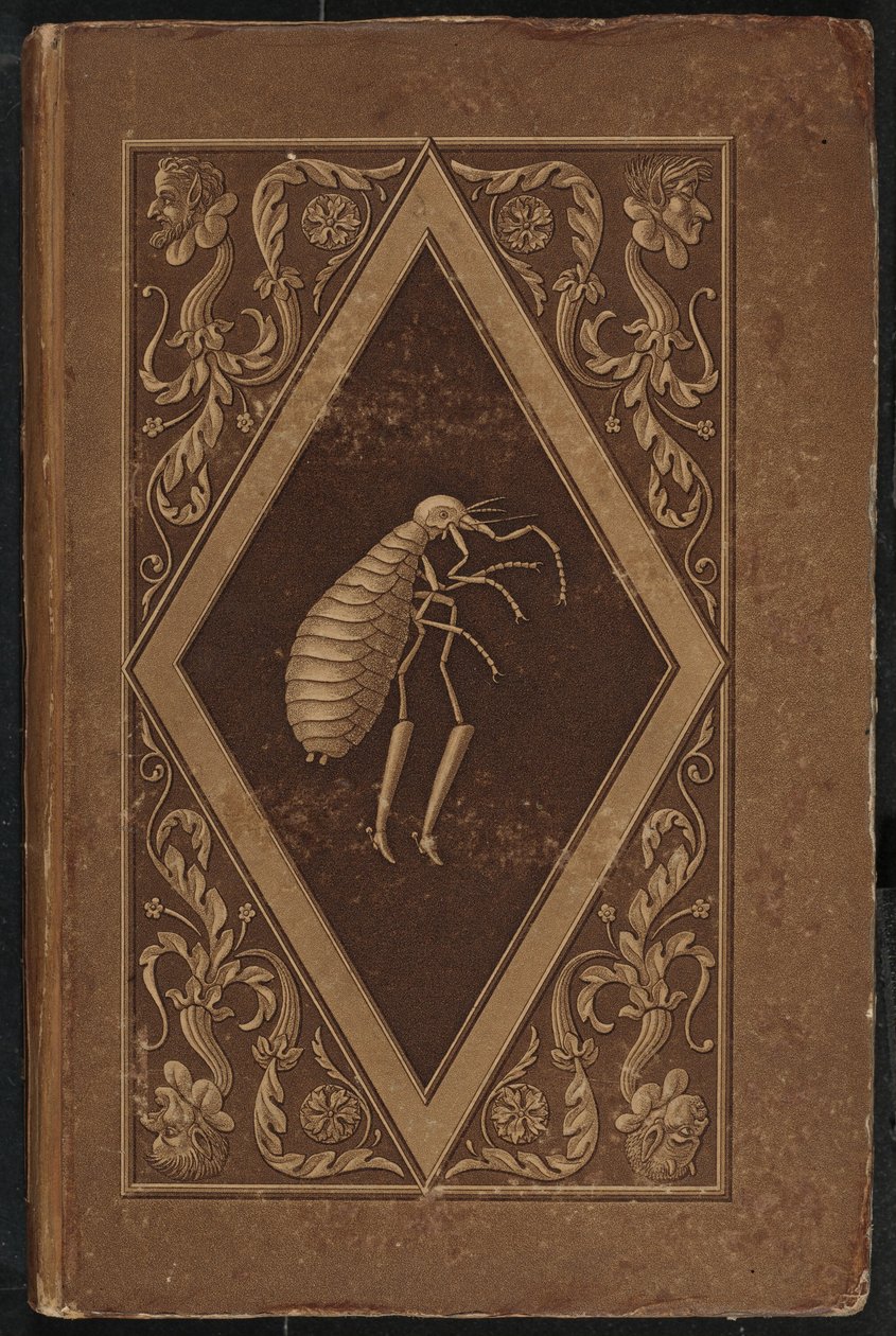 سيد البراغيث. حكاية خرافية في سبع مغامرات لصديقين (Master Flea: A Fairy-Tale in Seven Adventures of Two Friends بواسطة كارل فريدريش ثيل وإرنست ثيودور أماديوس هوفمان