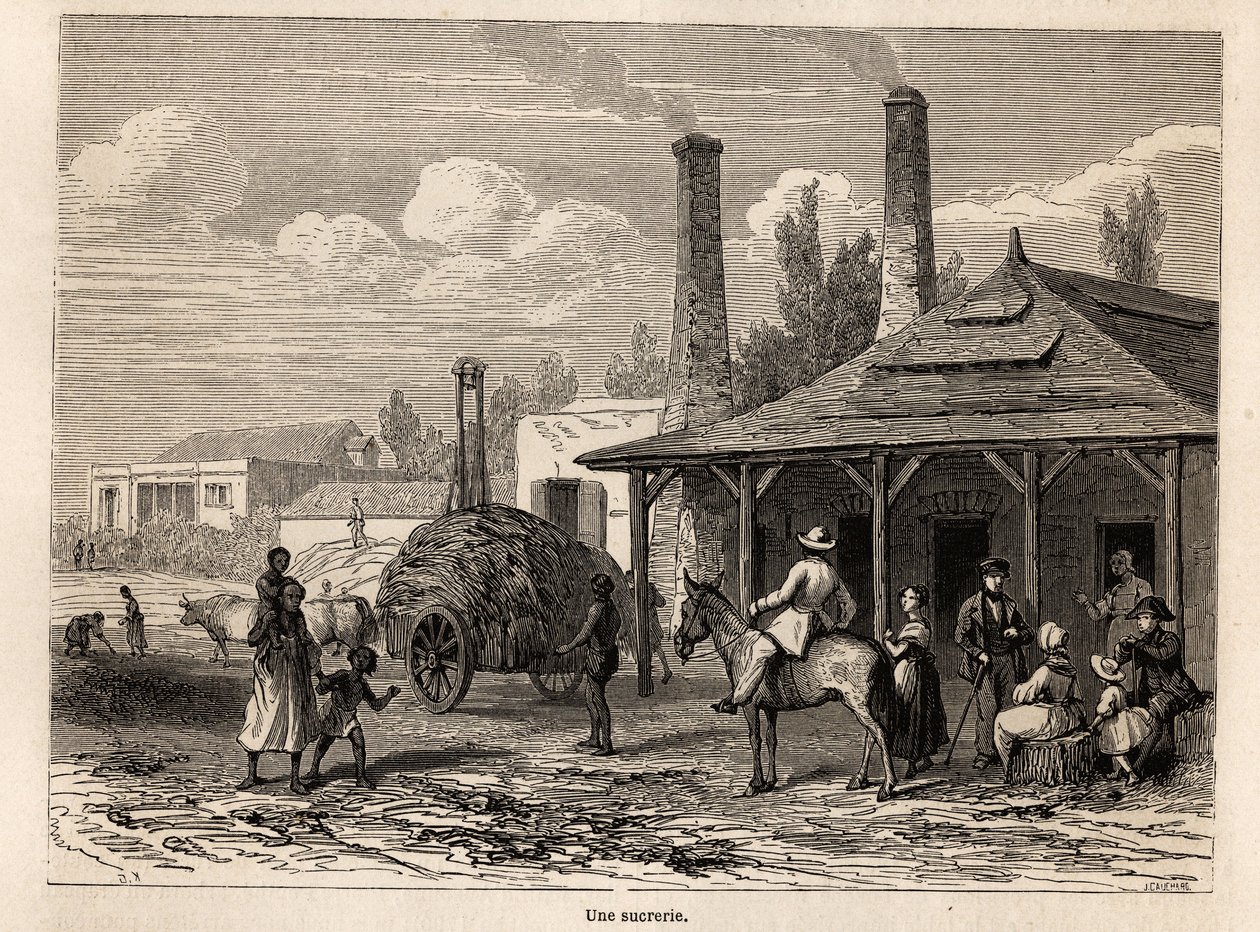 مصنع سكر من Riviere du Rempart ، في موريشيوس ، رسمه كارل جيرارديت (1813-1871) ، لتوضيح إقامة ألفريد فيرني في موريشيوس عام 1861. نقش في "Le tour du monde" ، تحرير إدوارد شارتون بواسطة كارل جيرارديت