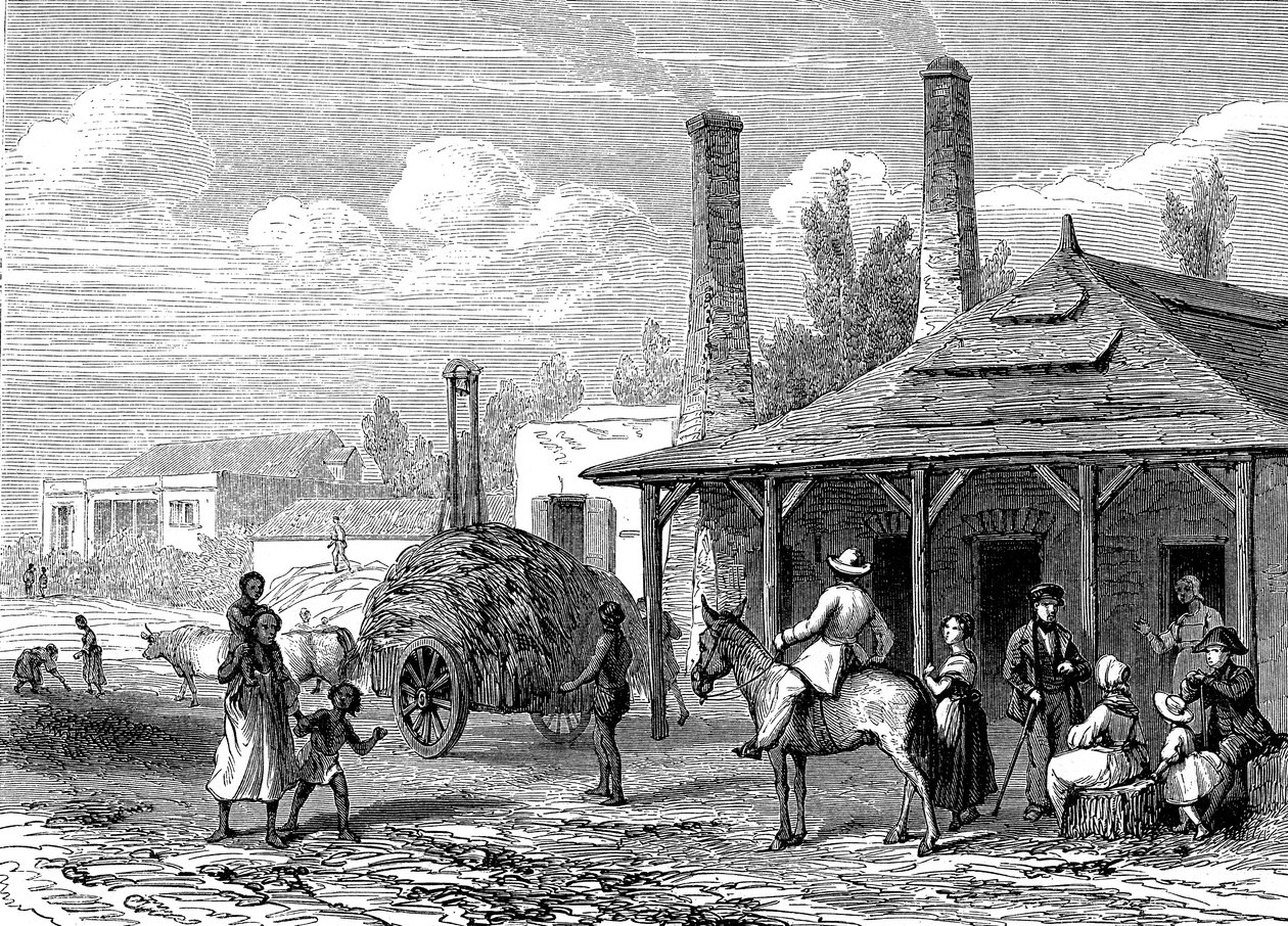مصنع السكر في موريشيوس عام 1863. Le T du Monde Paris 1863 Publisher بواسطة كارل جيرارديت