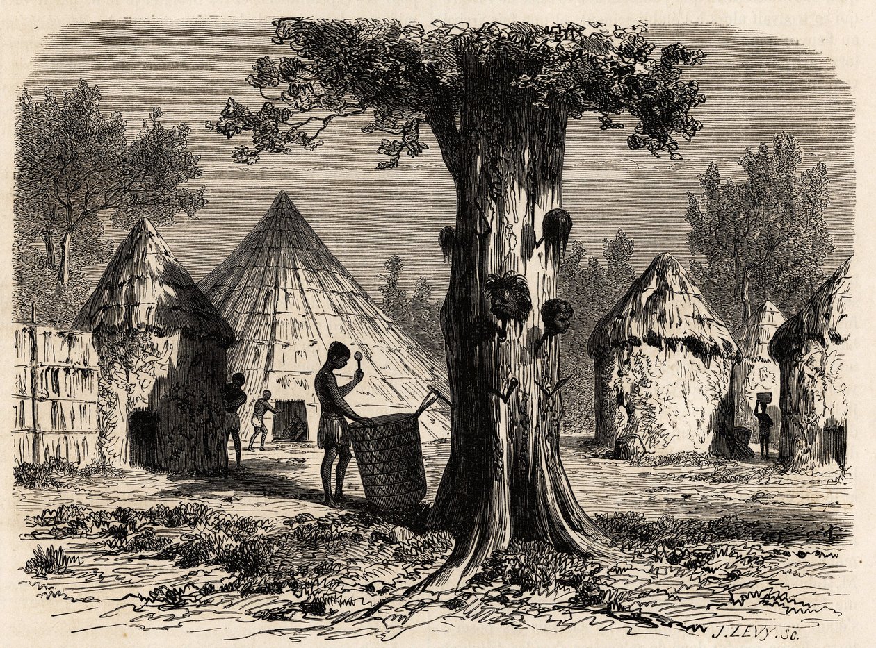 شجرة الحرب ، في قرية دجور ، منطقة بحر الغزال ، السودان ، رسمها كارل جيرارديت (1813-1871) لتوضيح الرحلة إلى نهر غزال بولونيسي ، 1856-1857. نقش في "" Le Tour du monde "، تحرير إدوارد شارتون بواسطة كارل جيرارديت