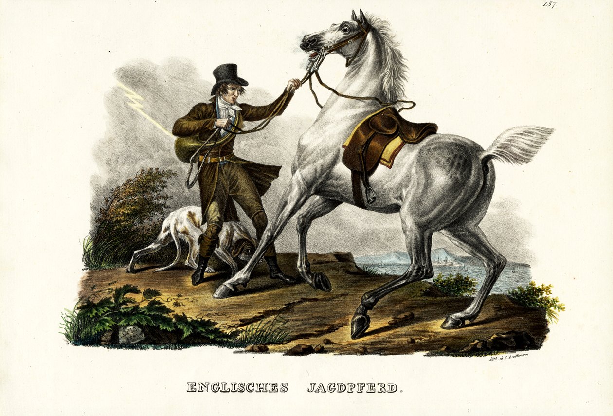 صياد الخيل الإنجليزية ، 1824 بواسطة كارل جوزيف برودمان
