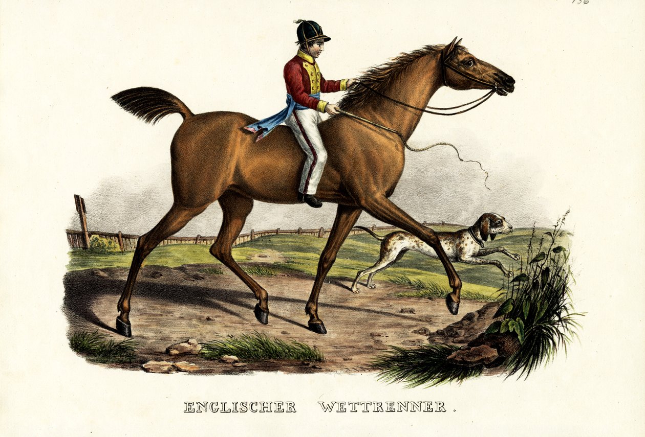 حصان متسابق إنجليزي ، 1824 بواسطة كارل جوزيف برودمان