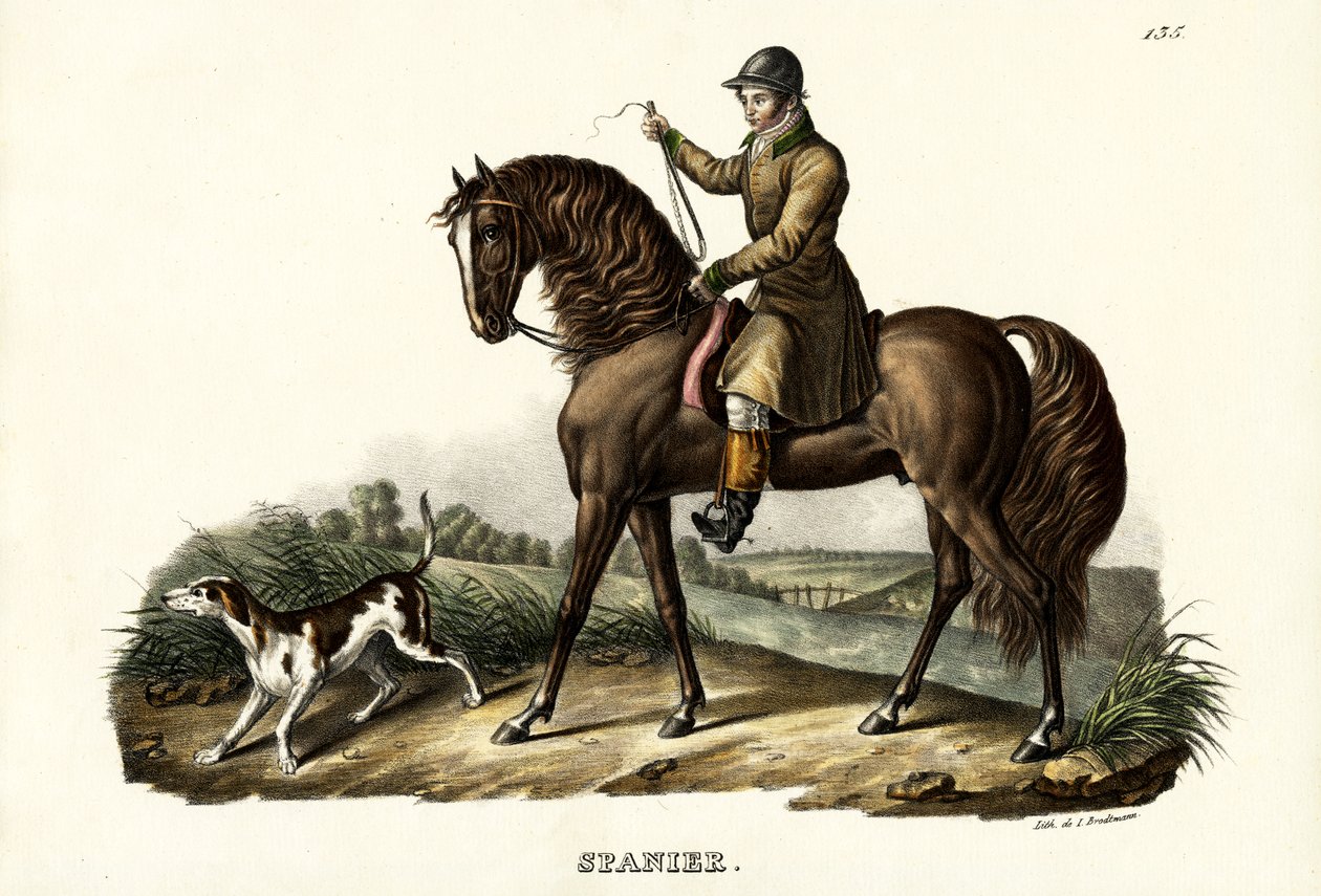حصان صياد إسباني ، 1824 بواسطة كارل جوزيف برودمان