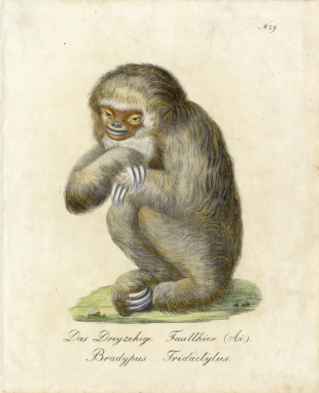  بواسطة كارل جوزيف برودمان