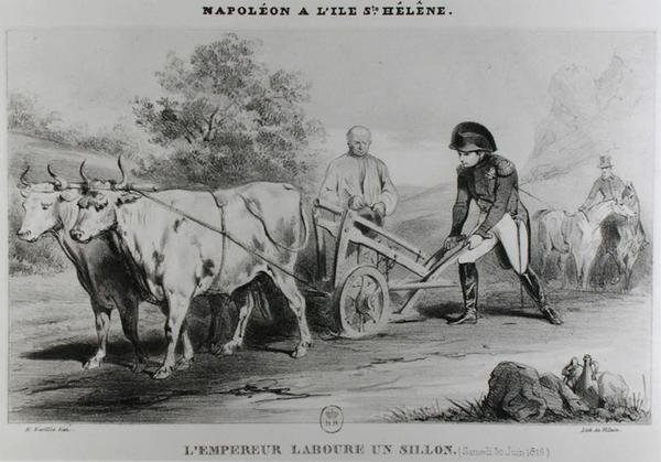 نابليون (1769-1821) في سانت هيلانة ، نقشها فرانسوا لو فيلان (fl.1819-22) بواسطة كارل بعد Loeillot Hartwig