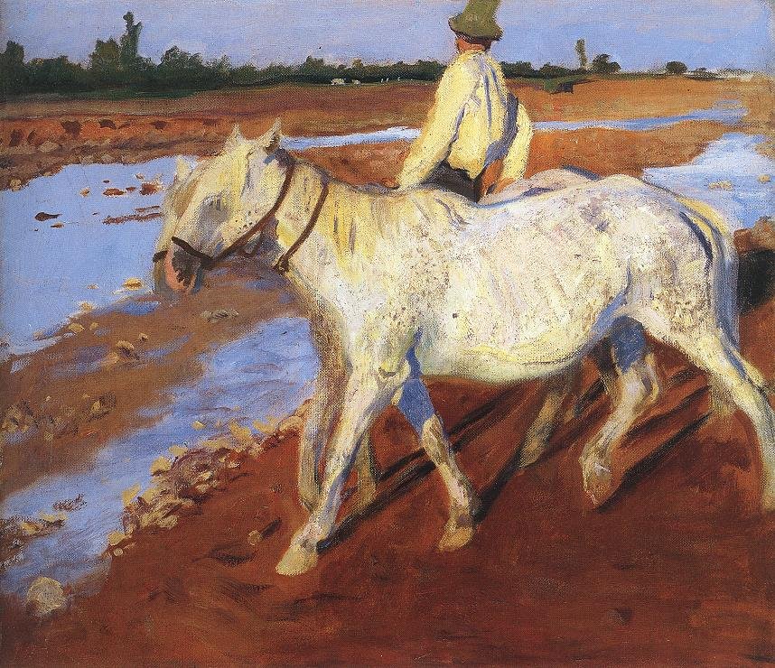 خيل بواسطة كارولي فيرنزي