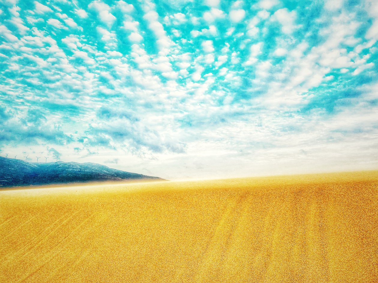  بواسطة كاثا وود