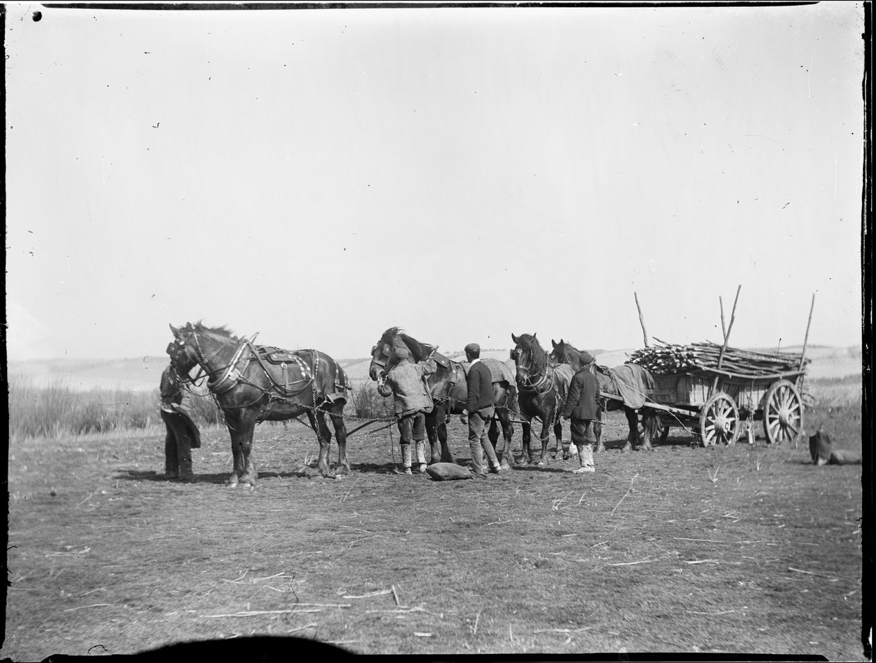 برومفيلد ، برومفيلد وكينجسوود ، ميدستون ، كينت ، 06/04/1904 (b / w photo) بواسطة كاثرين جان ماكفي
