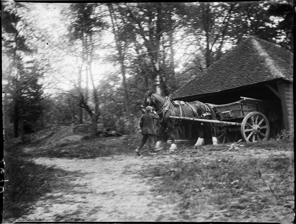 Groombridge ، Speldhurst ، Tunbridge Wells ، Kent ، 20/05/1911 (b / w photo) بواسطة كاثرين جان ماكفي